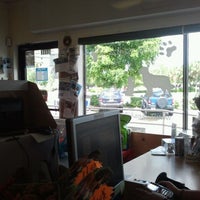 luke's natural pet food