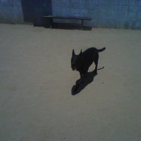 Photo taken at Downtown LA Arts District Dog Park by Shannon O. on 7/1/2012