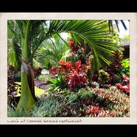 8/4/2012 tarihinde Jai R.ziyaretçi tarafından Common Ground Kauai'de çekilen fotoğraf