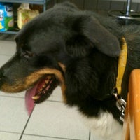 Photo taken at CareFirst Animal Hospital at Oberlin by Leslie D. on 5/29/2012