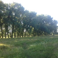 Топольки ростов. Топольки ростов. Парк топольки в каменск шахтинске. Пляж тополек. Топольки ростов.