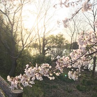 Photo taken at 岩ケ池公園 by Nyalan D. on 4/6/2019