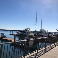 Снимок сделан в Dana Wharf Whale Watching пользователем Jess O. 1/22/2018