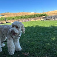 Photo taken at Darcie Kent Vineyards by Lucca T. on 9/5/2023