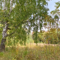 Photo taken at Природный парк «Оленьи ручьи» by Денис С. on 9/20/2020