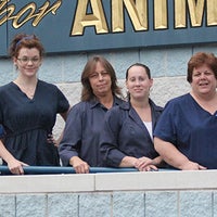 Floyd Harbor Animal Hospital Veterinarian In Shirley