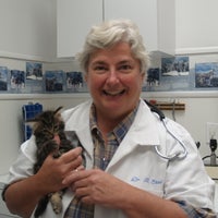 Floyd Harbor Animal Hospital Veterinarian In Shirley