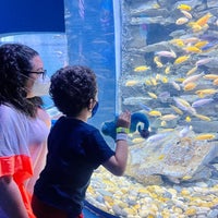 Photo taken at Aquarium Cancun by Rafael H. on 3/21/2021