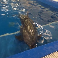 Photo taken at Центр плавания с дельфинами by Svetlana R. on 2/21/2018