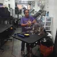 8/24/2015 tarihinde Harlem D.ziyaretçi tarafından Harlem Doggie Day Spa'de çekilen fotoğraf