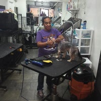 Photo taken at Harlem Doggie Day Spa by Harlem D. on 8/24/2015