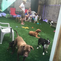 Foto tirada no(a) Harlem Doggie Day Spa por Harlem D. em 8/22/2015