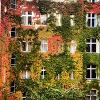 Photo taken at Berlijn-Blog.NL by Marjolein v. on 10/16/2012