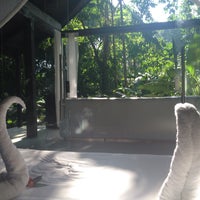 oxygen villas jungle