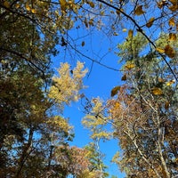 Photo taken at Beavers Bend State Park by Wednesday T. on 11/11/2023