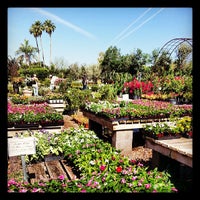 Treeland Nurseries Inc Garden Photo Taken At Treeland Nurseries Inc By David On 5 25 2017