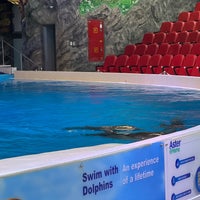 Photo taken at Dubai Dolphinarium by Jassim_92 on 9/14/2022