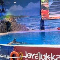 Photo prise au Dubai Dolphinarium par Jassim_92 le9/14/2022