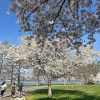 Photo taken at Hains Point by Sarah J. on 3/30/2024