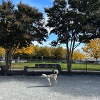 Photo taken at Yards Park Dog Park by Sarah J. on 10/27/2023