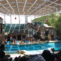 Photo taken at Sea Lion Show by Fbb D. on 4/10/2018