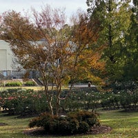 Photo taken at Raleigh Rose Garden by Arthur B. on 11/12/2023