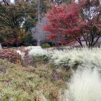 Photo taken at Raleigh Rose Garden by Arthur B. on 11/12/2023