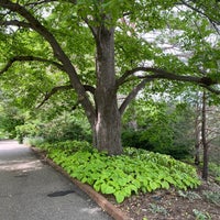 6/9/2023にArthur B.がMinnesota Landscape Arboretumで撮った写真