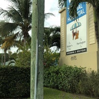 Vca simmons hotsell animal hospital