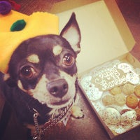8/10/2013에 Groovy Dog B.님이 Groovy Dog Bakery에서 찍은 사진