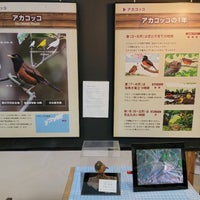 Photo taken at MIYAKE NATURE CENTER AKAKOKKO STATION by (¦3[▓▓] on 5/12/2023