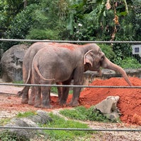 Photo taken at Elephants of Asia by Jeremy M. on 2/23/2024