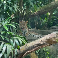 Photo taken at Wild Africa by Jeremy M. on 2/23/2024