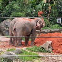 Photo taken at Elephants of Asia by Jeremy M. on 2/23/2024