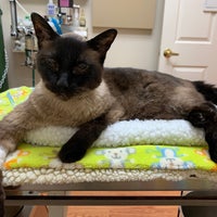 Photo taken at Windy Hill Veterinary Hospital by Tracie C. on 5/8/2020