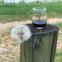 Photo taken at Montaluce Vinyard and LeVigne Restaurant by Tracie C. on 5/15/2021