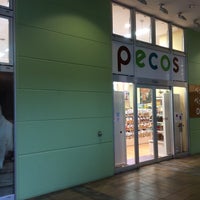 イオンペットpecos 海老名店 海老名市のペットショップ イオンペットpecos 海老名店 海老名市のペットショップ