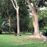 11/16/2018에 Alexey M.님이 Parque Eduardo Villena에서 찍은 사진