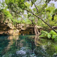 Photo taken at Gran Cenote by Fırat .. on 11/15/2023