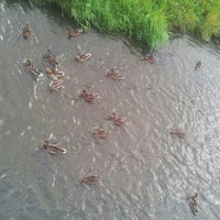 Photo taken at Волковка by Наталья В. on 8/29/2014