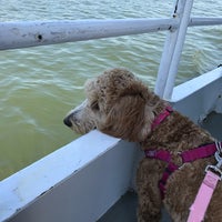 6/10/2017 tarihinde Aimee P.ziyaretçi tarafından Potomac Riverboat Company'de çekilen fotoğraf