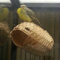 petsmart rivergate