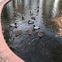 Photo taken at Southwest Duck Pond by Jason W. on 11/22/2018