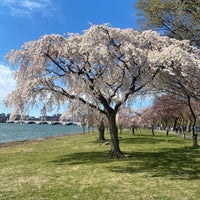 Photo taken at West Potomac Park by Suman B. on 3/18/2023