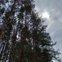 Photo taken at Лес на «Дорошихе» by Sasha P. on 6/10/2021