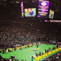 Photo taken at 136th Westminster Kennel Club Dog show by Christina M. on 2/13/2013