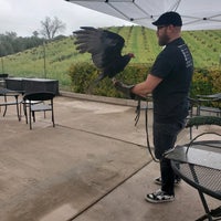 Photo taken at AronHill Vineyards by Elle L. on 3/7/2020