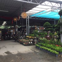 Seng Huat Plant Nursery Garden Center