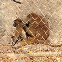 Photo taken at The Plains At The Zoo by Lindsey N. on 10/21/2012