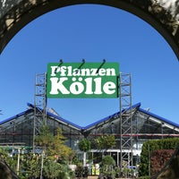 Photo prise au Pflanzen-Kölle par T. H. le9/28/2020